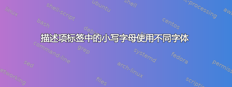 描述项标签中的小写字母使用不同字体