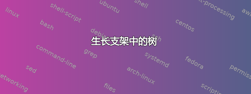 生长支架中的树