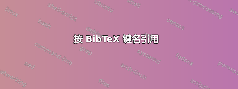 按 BibTeX 键名引用 