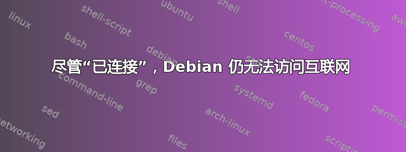 尽管“已连接”，Debian 仍无法访问互联网