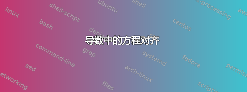 导数中的方程对齐