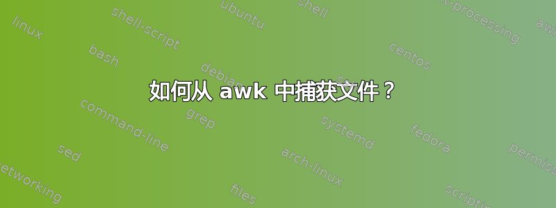 如何从 awk 中捕获文件？