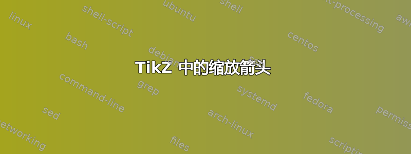 TikZ 中的缩放箭头