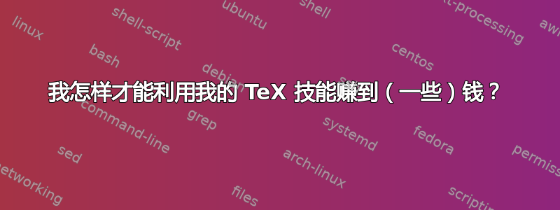 我怎样才能利用我的 TeX 技能赚到（一些）钱？