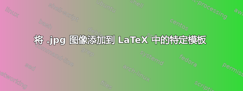 将 .jpg 图像添加到 LaTeX 中的特定模板