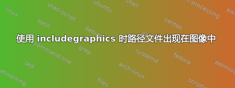 使用 includegraphics 时路径文件出现在图像中