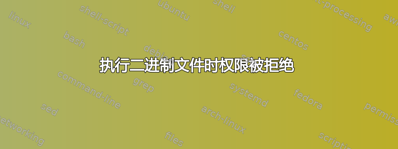 执行二进制文件时权限被拒绝