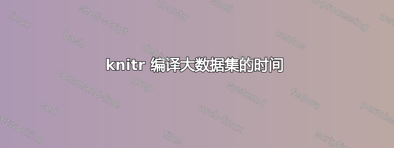 knitr 编译大数据集的时间