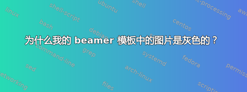 为什么我的 beamer 模板中的图片是灰色的？