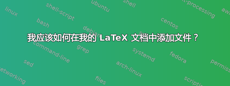 我应该如何在我的 LaTeX 文档中添加文件？