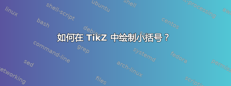 如何在 TikZ 中绘制小​​括号？