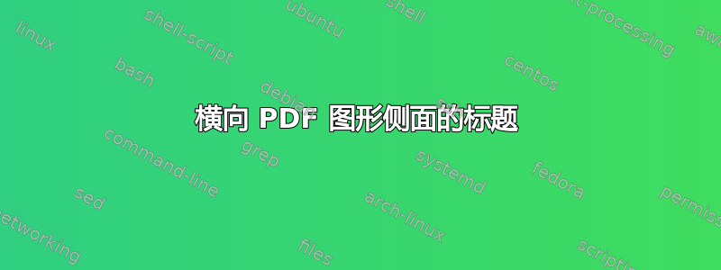 横向 PDF 图形侧面的标题