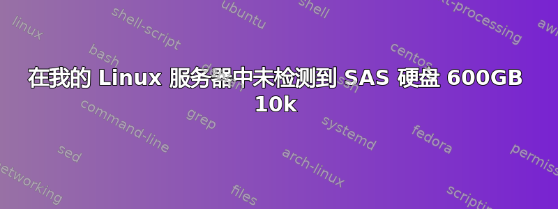 在我的 Linux 服务器中未检测到 SAS 硬盘 600GB 10k