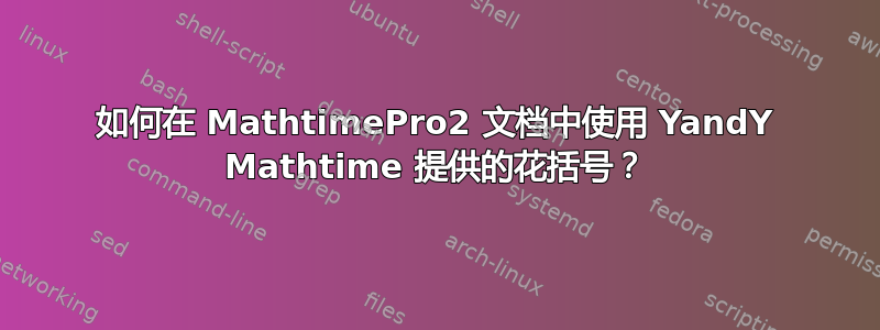 如何在 MathtimePro2 文档中使用 YandY Mathtime 提供的花括号？