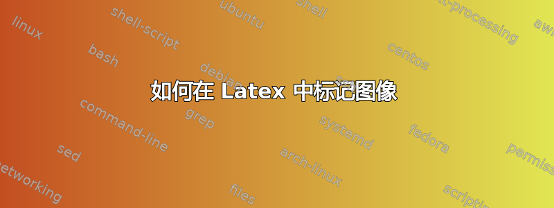 如何在 Latex 中标记图像