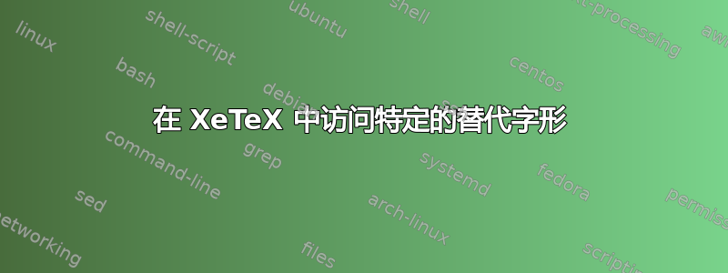 在 XeTeX 中访问特定的替代字形