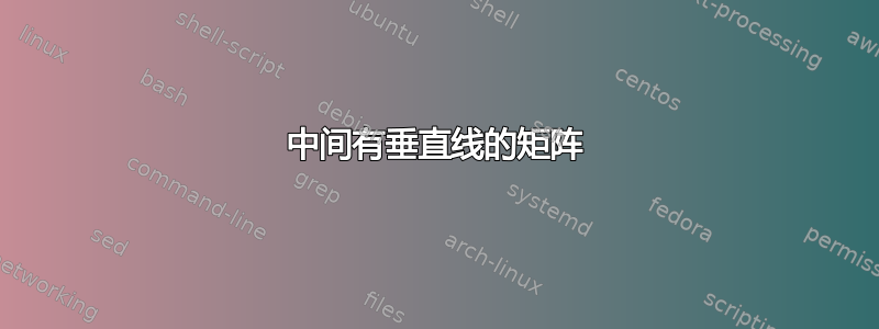 中间有垂直线的矩阵