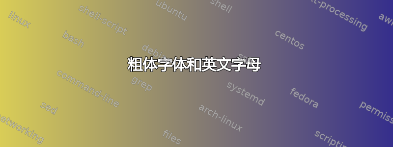 粗体字体和英文字母