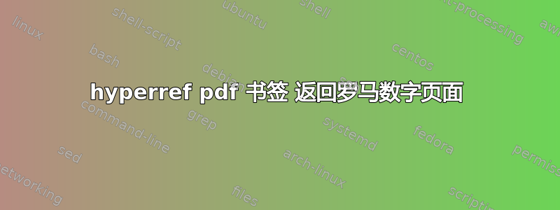 hyperref pdf 书签 返回罗马数字页面