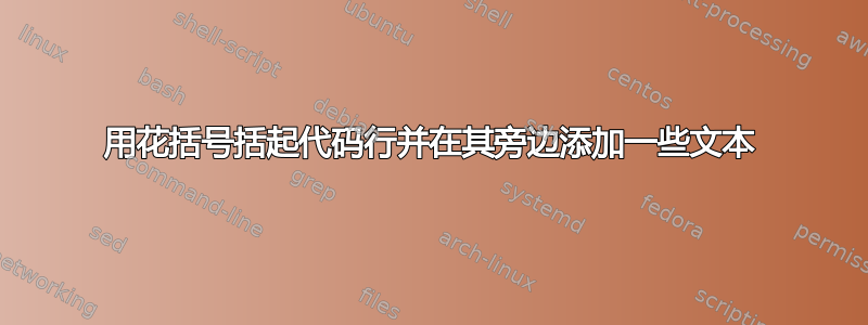 用花括号括起代码行并在其旁边添加一些文本