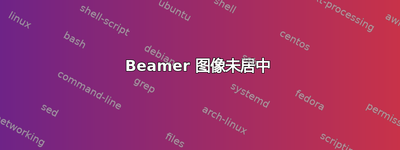 Beamer 图像未居中