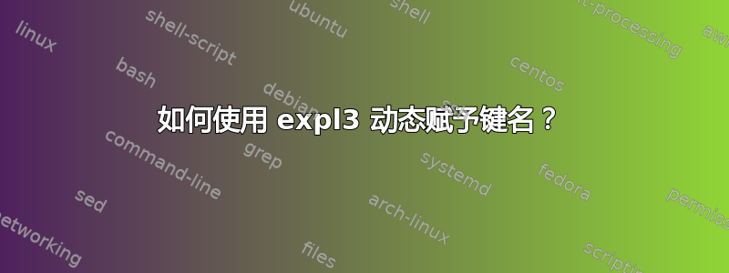 如何使用 expl3 动态赋予键名？