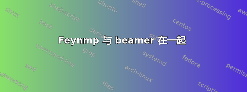 Feynmp 与 beamer 在一起