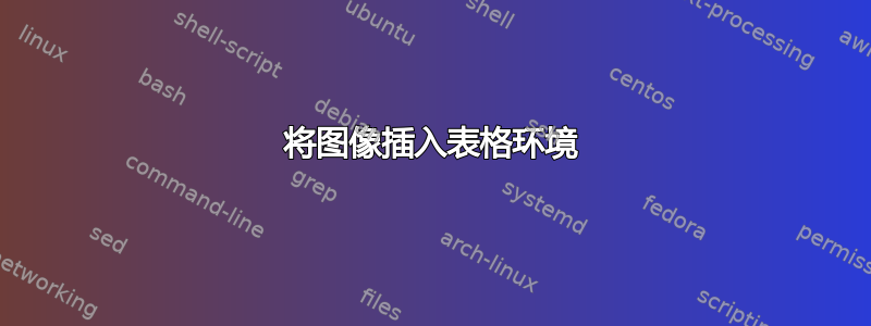 将图像插入表格环境