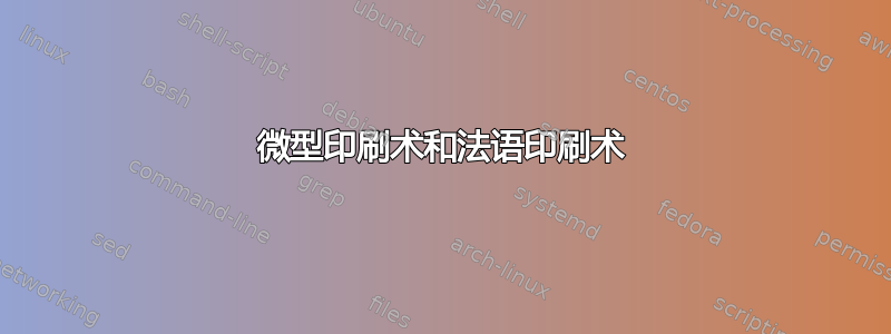 微型印刷术和法语印刷术