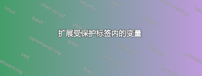 扩展受保护标签内的变量