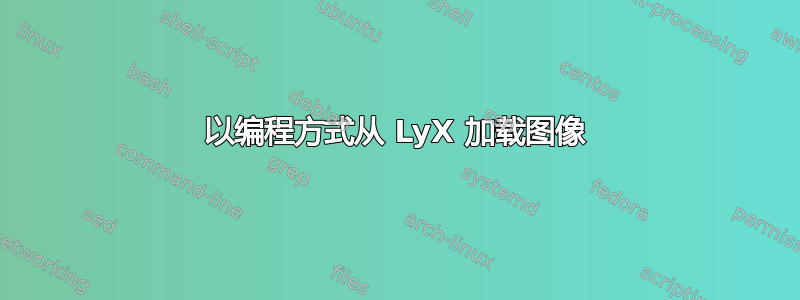 以编程方式从 LyX 加载图像