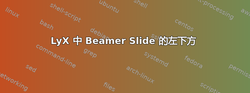 LyX 中 Beamer Slide 的左下方