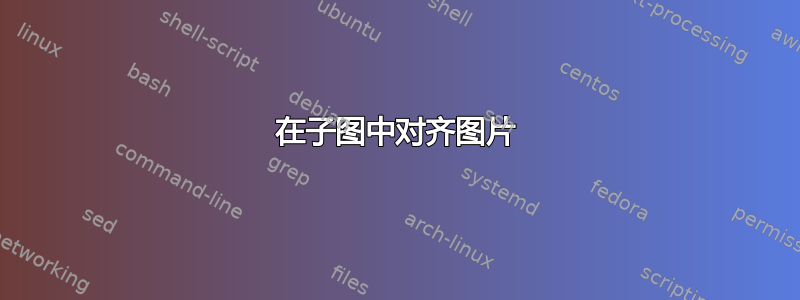 在子图中对齐图片