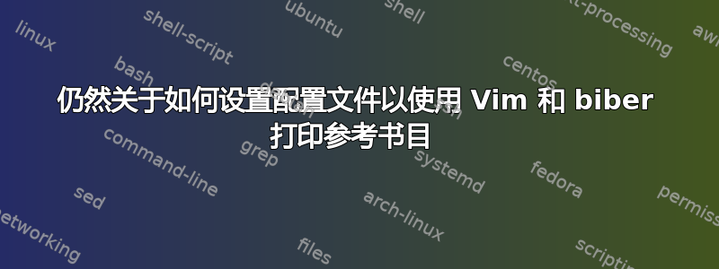 仍然关于如何设置配置文件以使用 Vim 和 biber 打印参考书目 