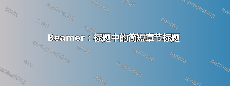 Beamer：标题中的简短章节标题