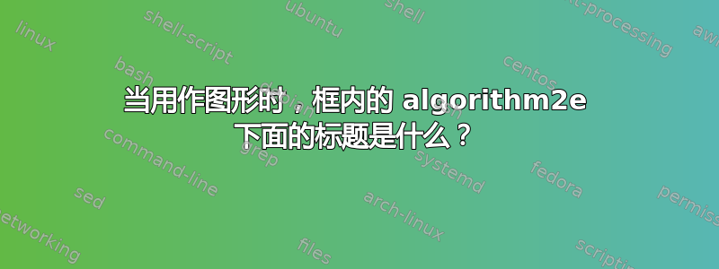 当用作图形时，框内的 algorithm2e 下面的标题是什么？