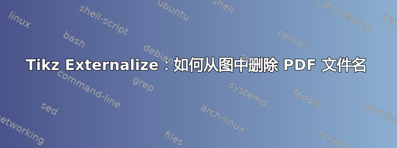 Tikz Externalize：如何从图中删除 PDF 文件名