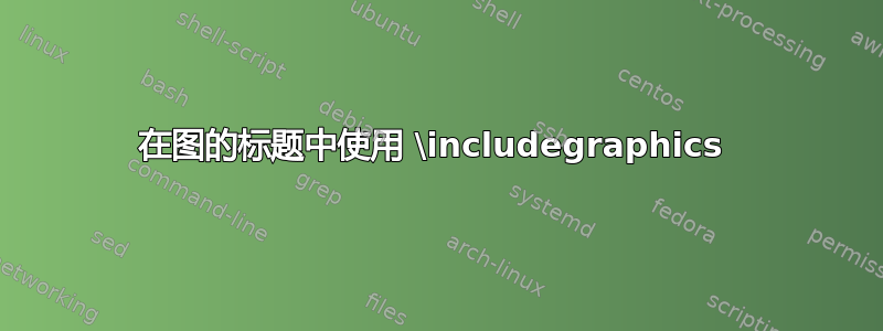 在图的标题中使用 \includegraphics 