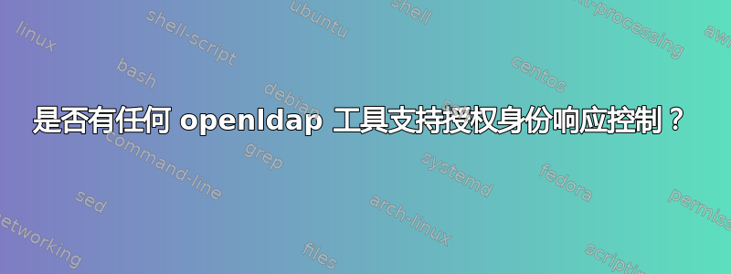 是否有任何 openldap 工具支持授权身份响应控制？