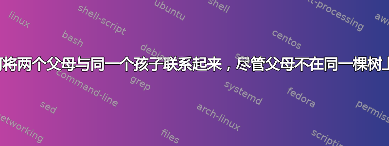 如何将两个父母与同一个孩子联系起来，尽管父母不在同一棵树上？