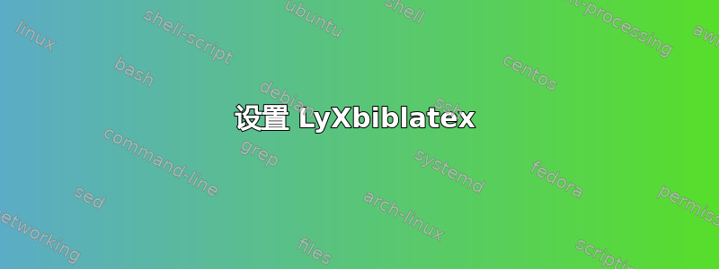 设置 LyXbiblatex