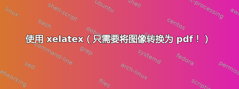 使用 xelatex（只需要将图像转换为 pdf！）