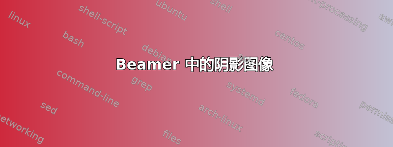 Beamer 中的阴影图像