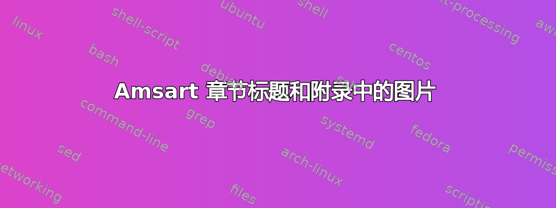 Amsart 章节标题和附录中的图片