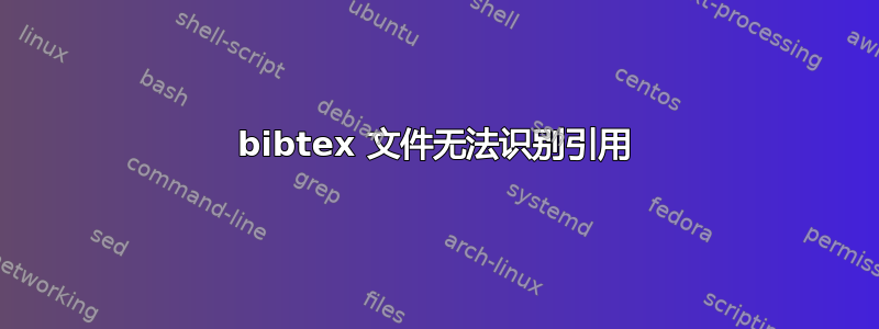 bibtex 文件无法识别引用