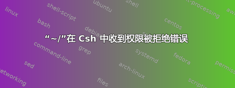 “~/”在 Csh 中收到权限被拒绝错误