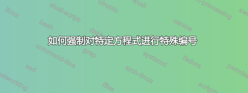 如何强制对特定方程式进行特殊编号