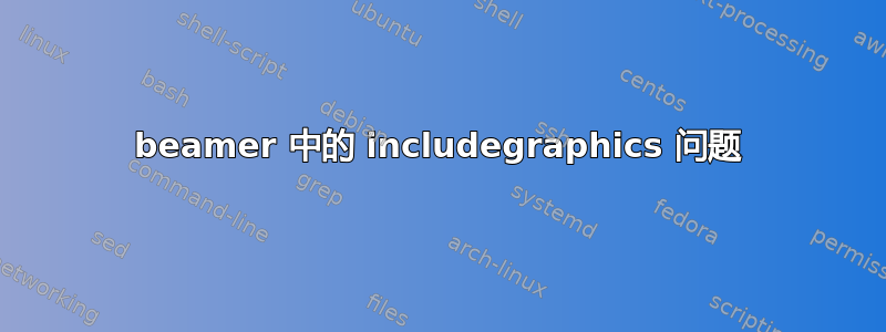 beamer 中的 includegraphics 问题