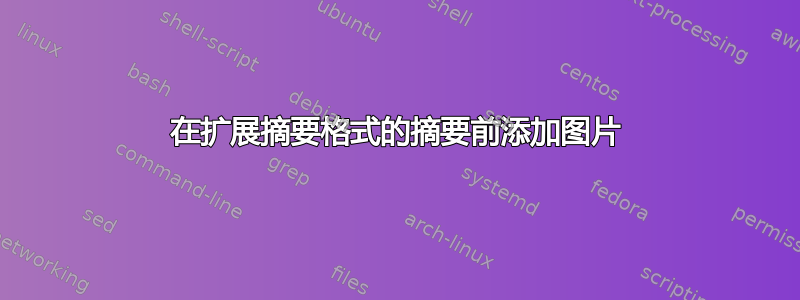 在扩展摘要格式的摘要前添加图片