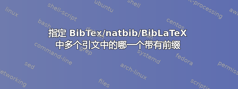 指定 BibTex/natbib/BibLaTeX 中多个引文中的哪一个带有前缀